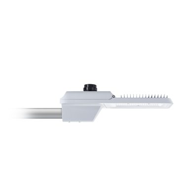 BRP493 LED362/NW 250W 220-240V DM GM | 911401673606